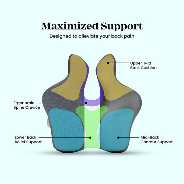 Majesty Lumbar Support