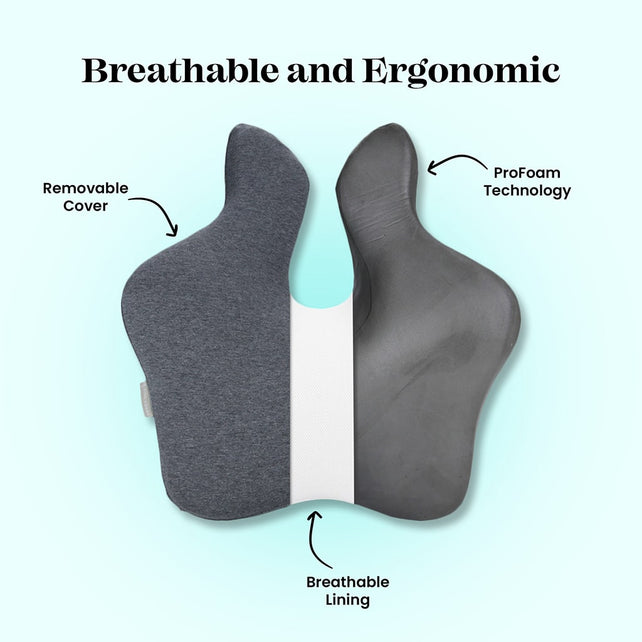 The visual representation showcases the Fine Foams Majesty Lumbar Support, highlighting its three key components: a removable cover, a breathable liner, and the innovative ProFoam Technology